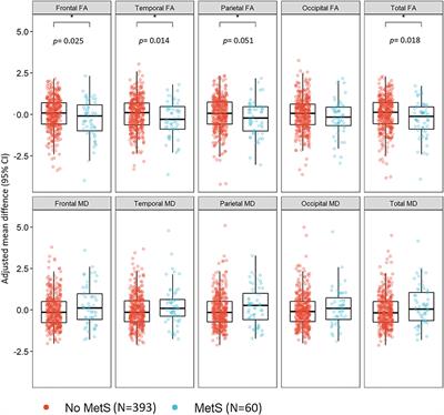 The Metabolic Syndrome Is Associated With Lower Cognitive Performance and Reduced White Matter Integrity in Midlife: The CARDIA Study